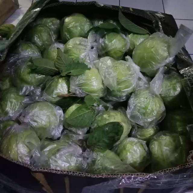 

jambu kristal
