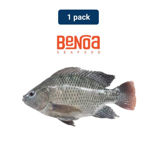 Jual Benoa Ikan Nila Hitam 1 Pack (450 - 550 Gr) Indonesia|Shopee Indonesia
