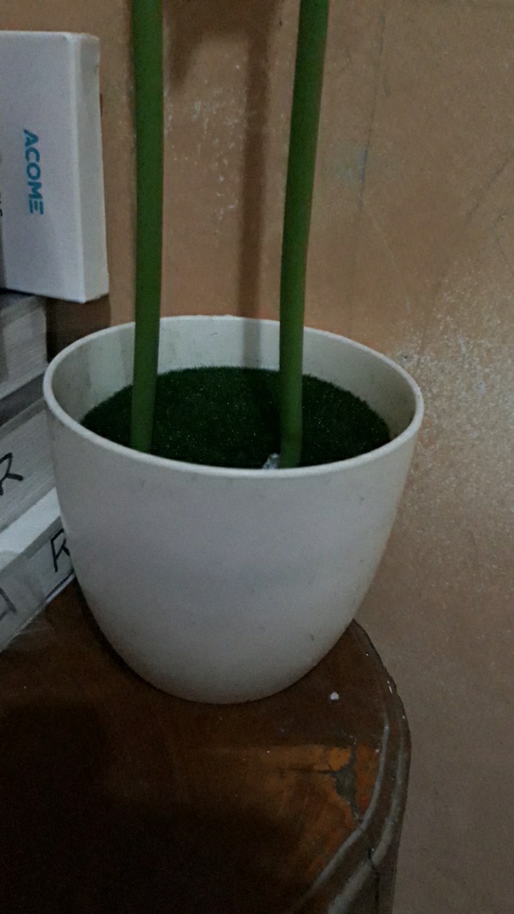 Vas Bunga Plastik Dengan Busa Dan Lumut Vas Bunga Dekorasi Vas Plastik Vas Bunga Oval