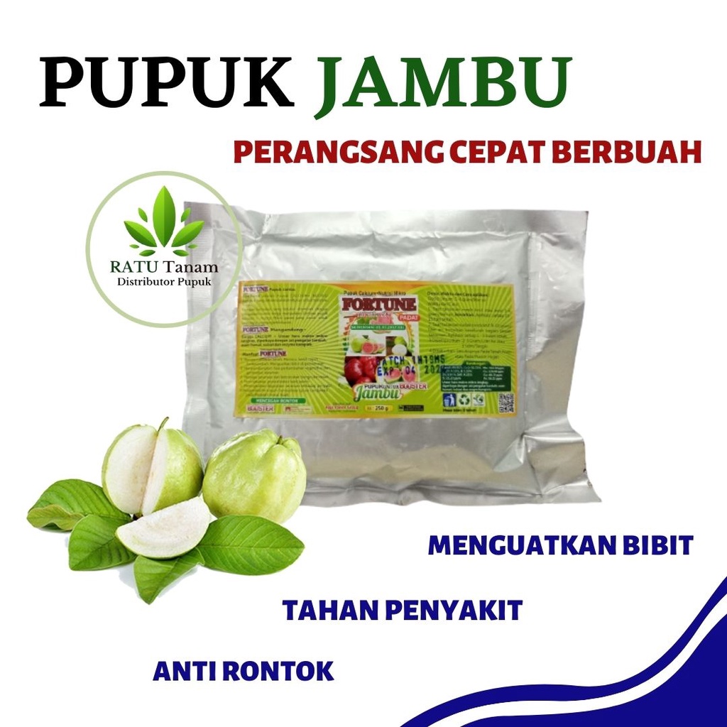 Pupuk Pelebat Buah Jambu Cepat Berbuah Besar, Pupuk booster jambu kristal, BOOSTER JAMBU PANEN MEILM