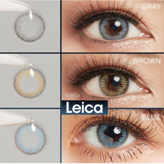 Softlens leica gray brown blue original korea