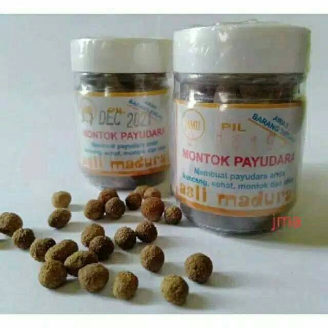 Jamu montok payudara