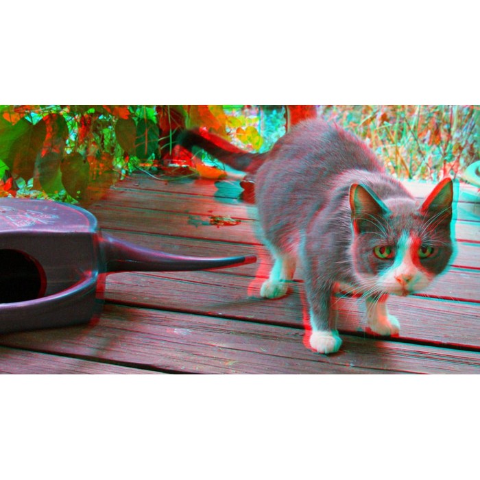 3D Glasses Kacamata Kaca Mata Frame plastik nVidia Vision Red Cyan