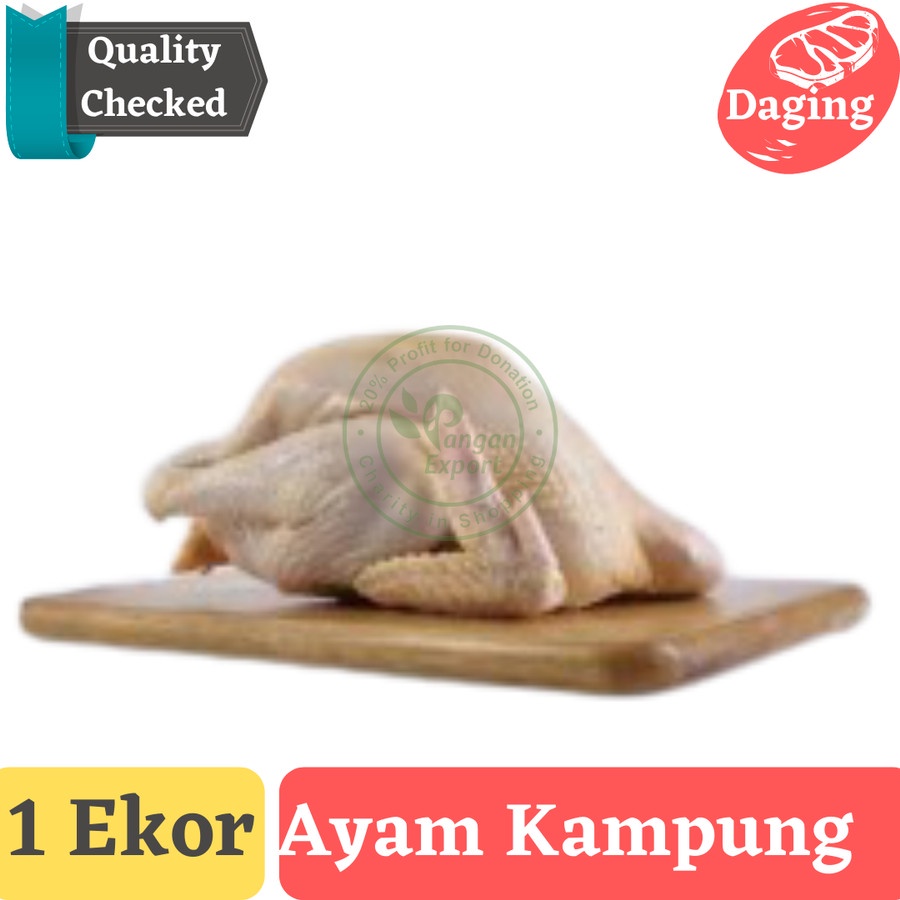 

Ayam Kampung Segar , Ayam Kampung Potong , Ayam Blasteran