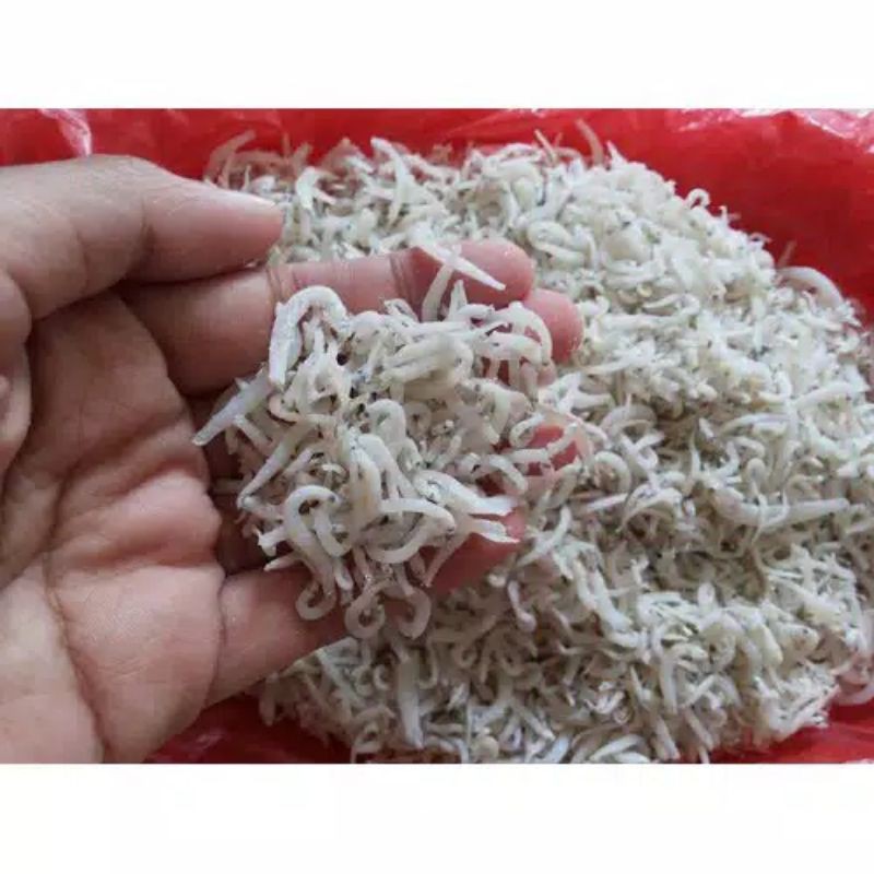 

Teri medan super 250