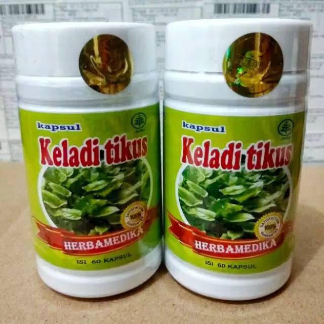 Keladi tikus kapsul original
