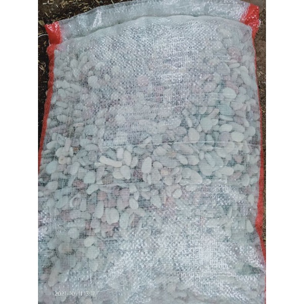 Jual Batu Panca Warna Batu Coral Panca Warna Batu Hias Panca Warna Shopee Indonesia