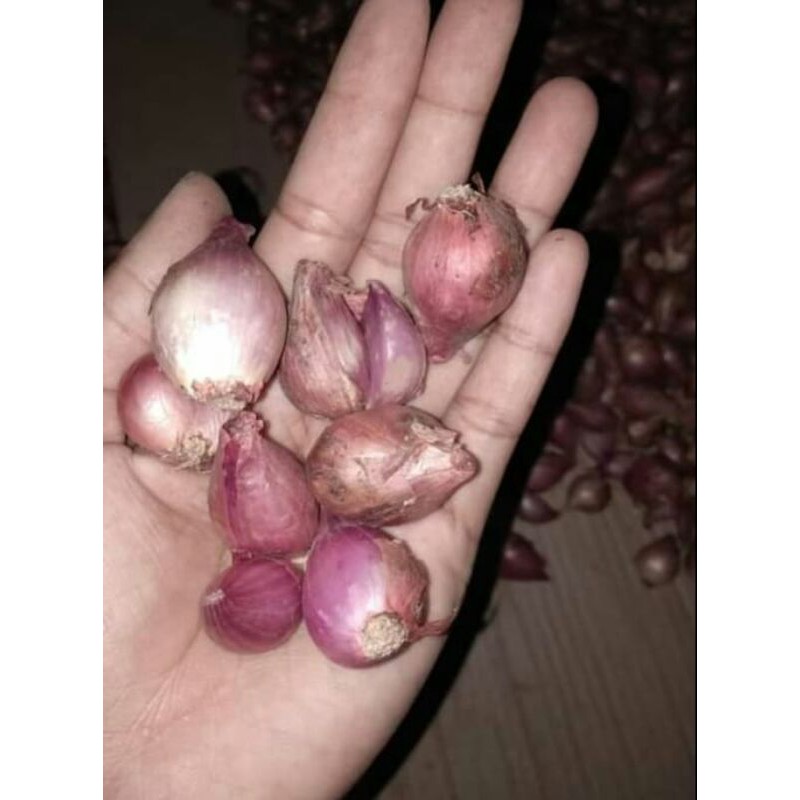 

Bawang merah murah