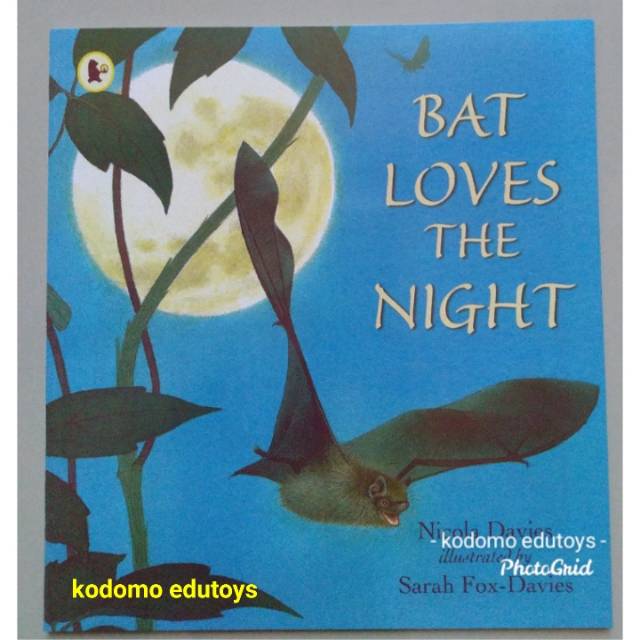 Bat Loves The Night by Nicola Davies, Sarah Fox-Davies , Buku Impor Anak