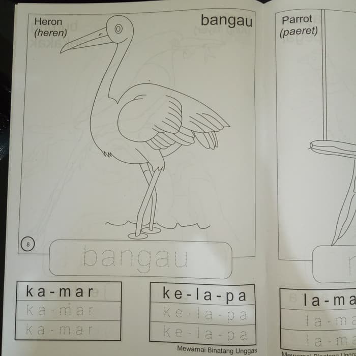 720+ Gambar Binatang Unggas Untuk Diwarnai HD Terbaru