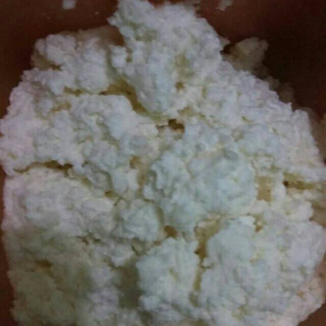 

Bibit kefir/grain