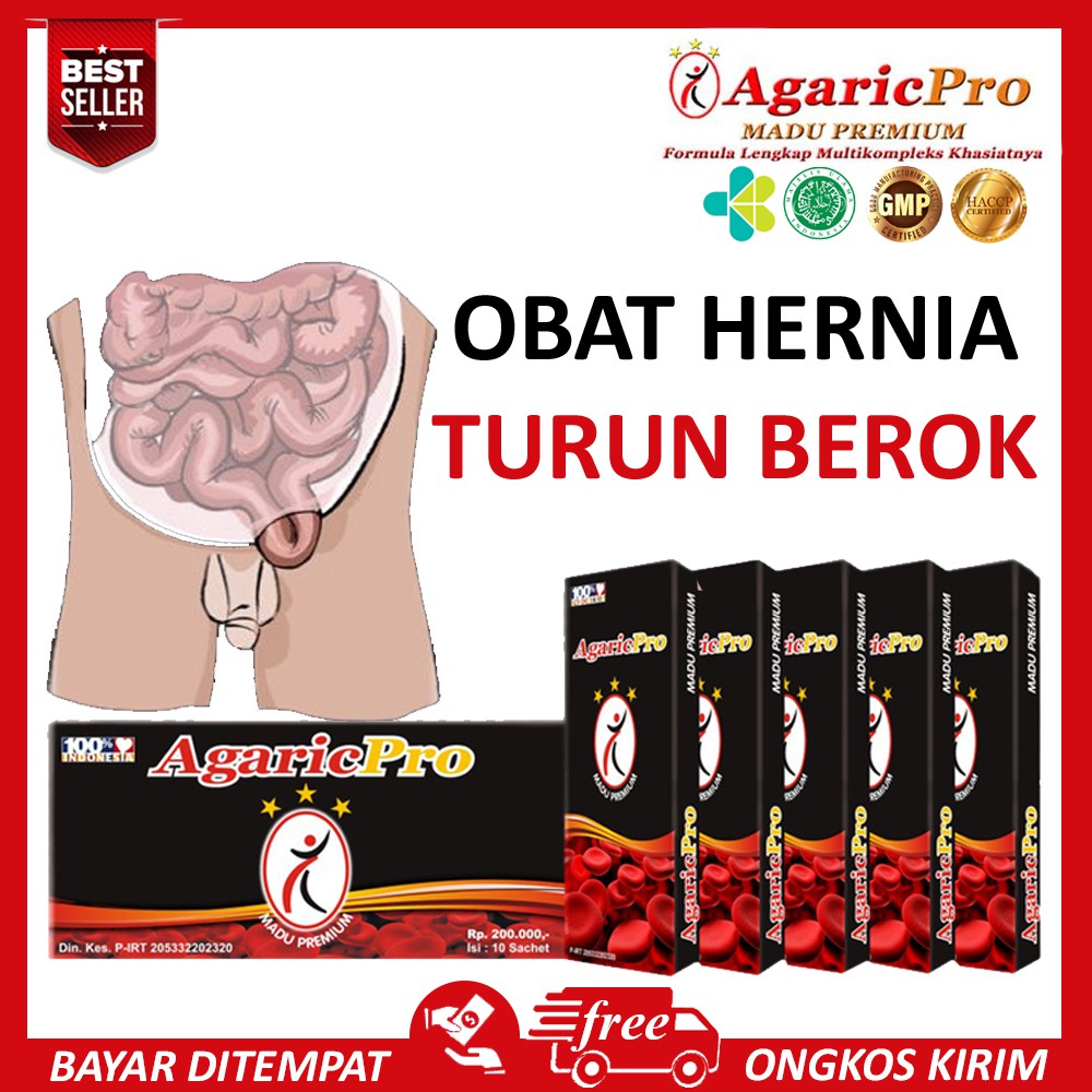 Obat Hernia | Obat Hernia Turun Berok | AGARICPRO