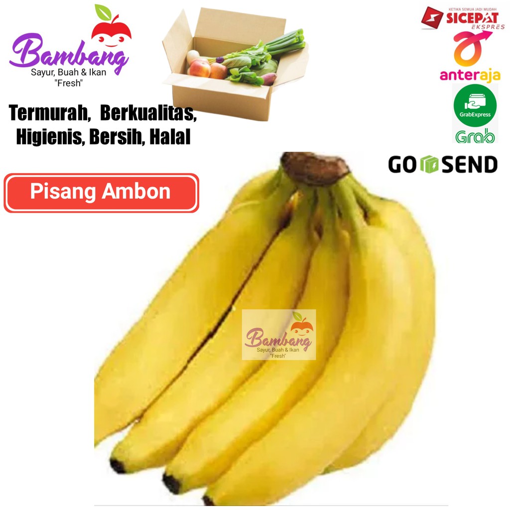 

pisang ambon pisang ambon fresh 1 sisir