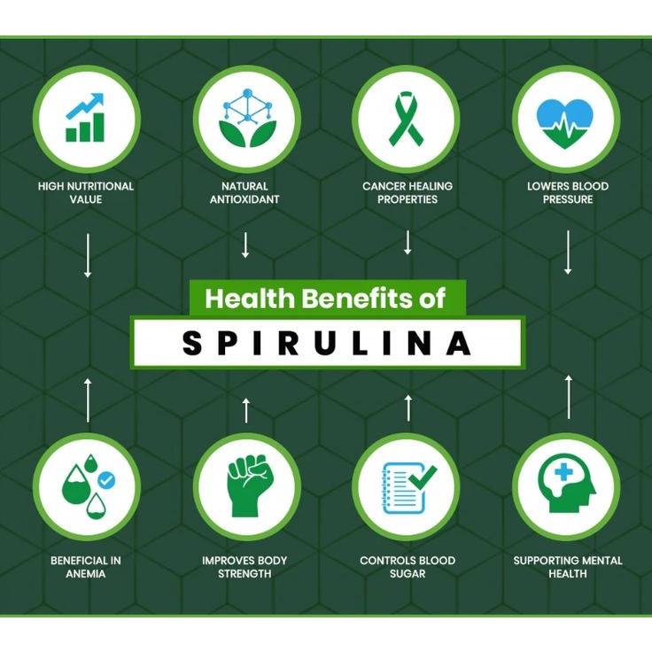 Organic Spirulina Powder / Bubuk Spirulina / Masker Spirulina
