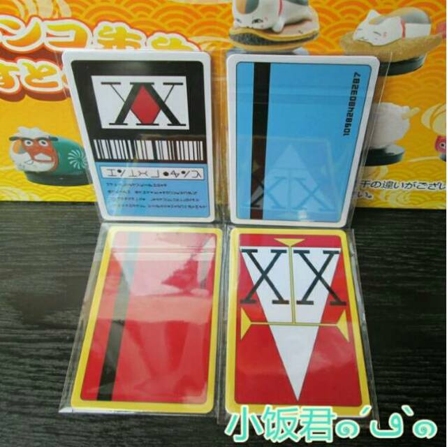 Kartu Lisensi Anime Hunter X Hunter | Shopee Indonesia