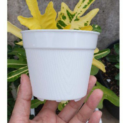 (6 pcs) POT SERAT 10 CM pot bunga mini motif serat putih 10cm tanpa lubang atau bisa dilubang