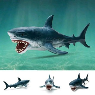 Mewarnai Hiu Megalodon Kumpulan Gambar Bagus