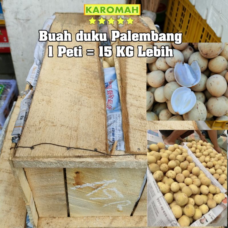 

BUAH DUKU PALEMBANG 1 PETI / BUAH DUKU 1 PETI 13 KG LEBIH / Buah duku 1 Kranjang / 1 krat Utuh SEGEL PABRIK