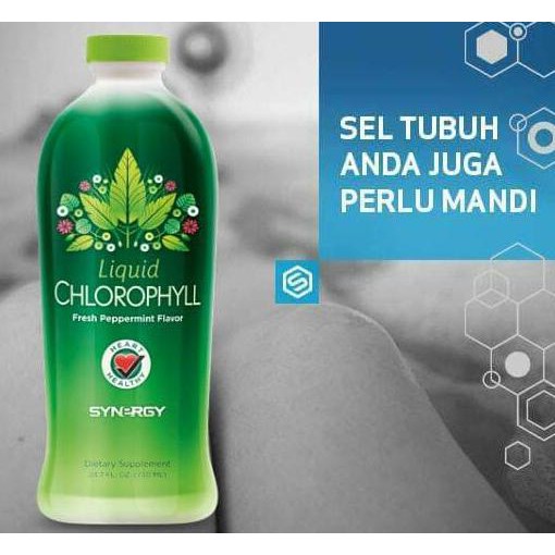 SOLUSI MENYEMBUHKAN Kurang Darah (Chlorophyll Synergy   Spirulina)