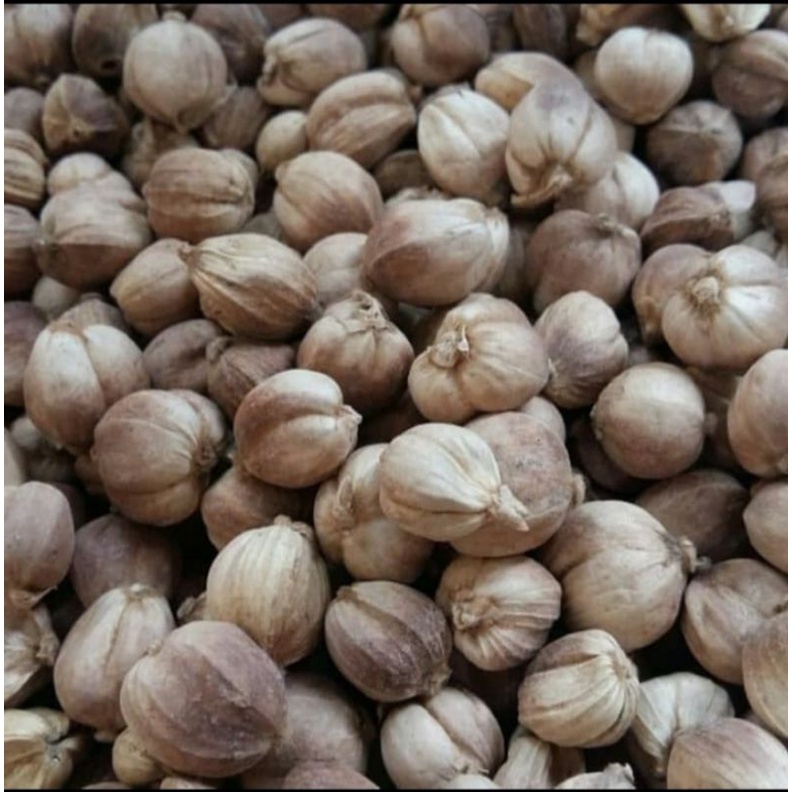 

Kapulaga kering 1 kg