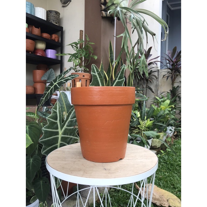 Pot Terakota Terracotta Gerabah Anggrek Tinggi