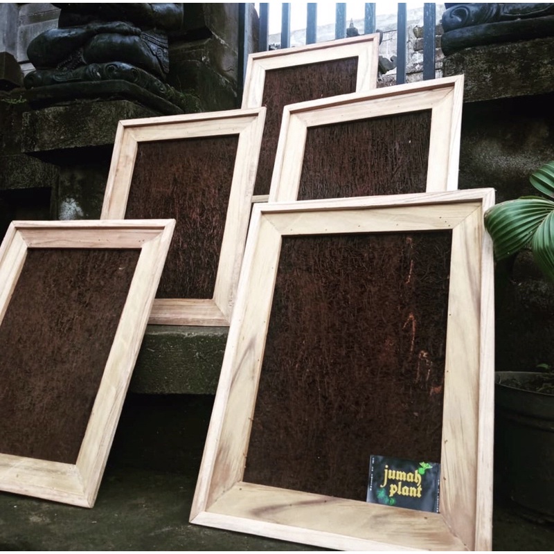 

papan platycerium / papan simbar