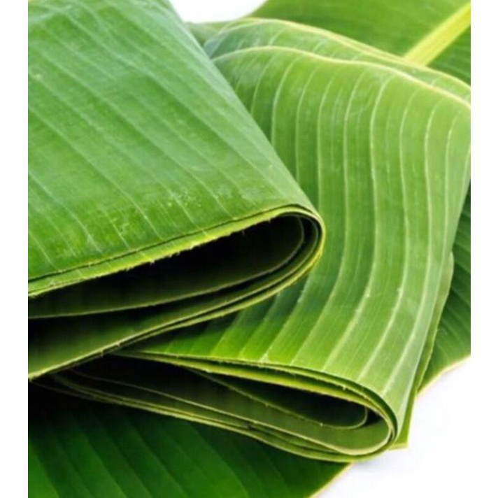 

daun pisang segar segar sekitat 1 kg