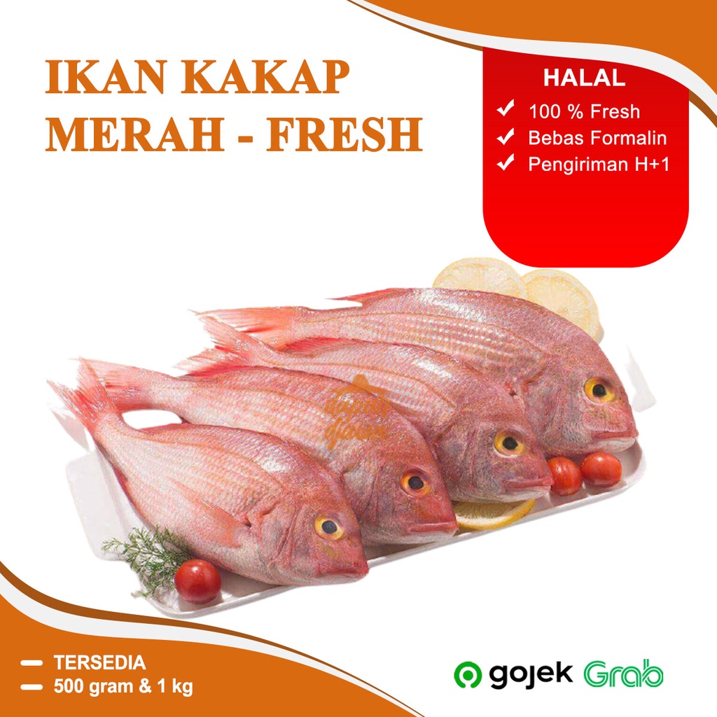 

IKAN KAKAP MERAH SEGAR FROZEN BEKU SUPER MURAH POTONG 500 GRAM 1 KG 1KG RED WHITE SNAPPER