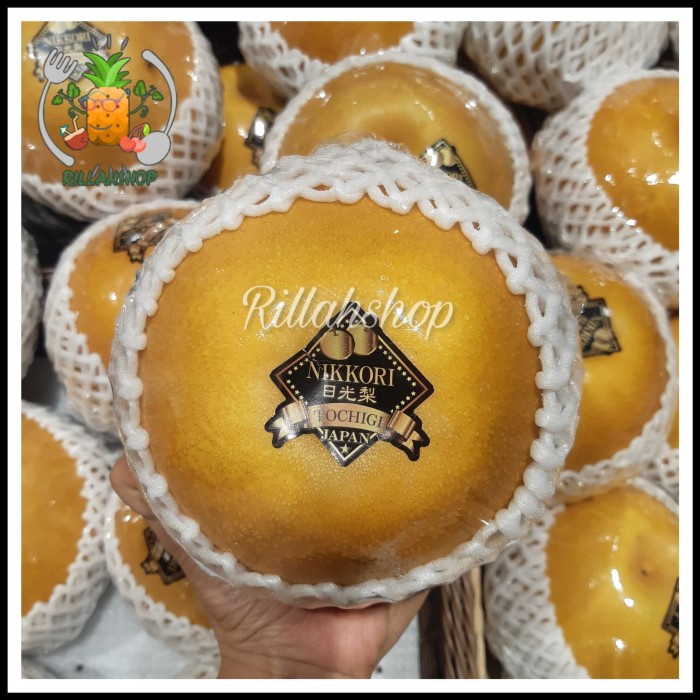

Buah Pear Nikori Jepang | Pir Impor Jepang