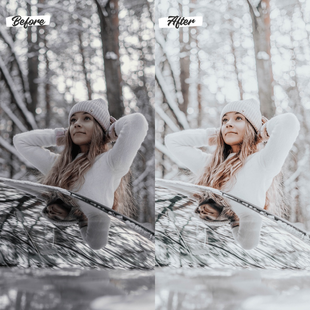 10 Lightroom Preset Winter IOS/Android and Dekstop