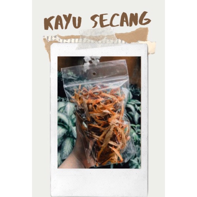 

kayu secang