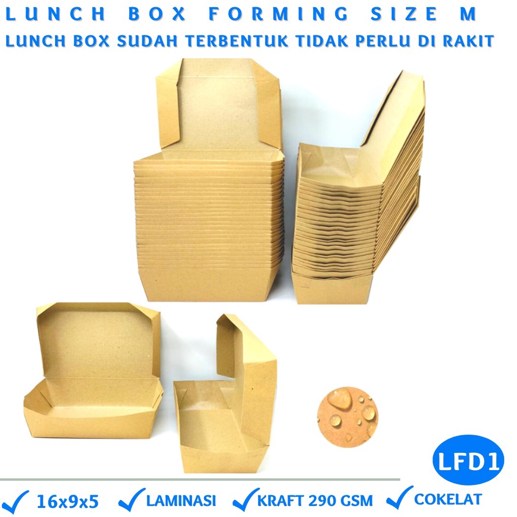 Lunch Box Medium Sudah Terbentuk Tidak Perlu Rakit (LFD1-16X9X5)