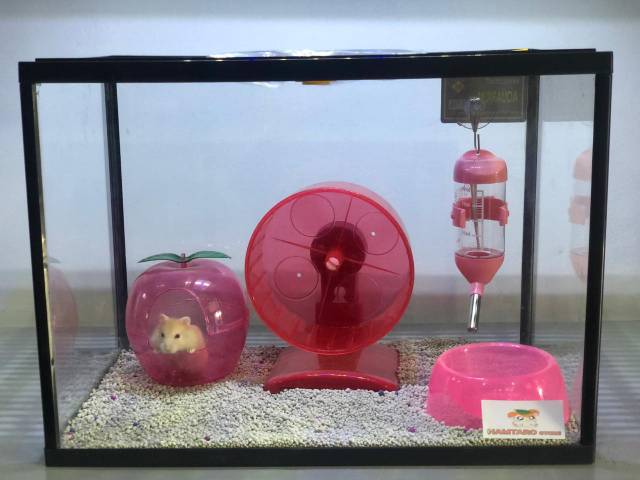 Terarium Kandang Hamster aquarium Fullset medium Kandang Hamster unik