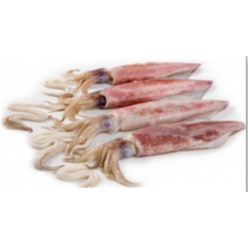 

Cumi-Cumi Utuh Frozen 500gr/1kg
