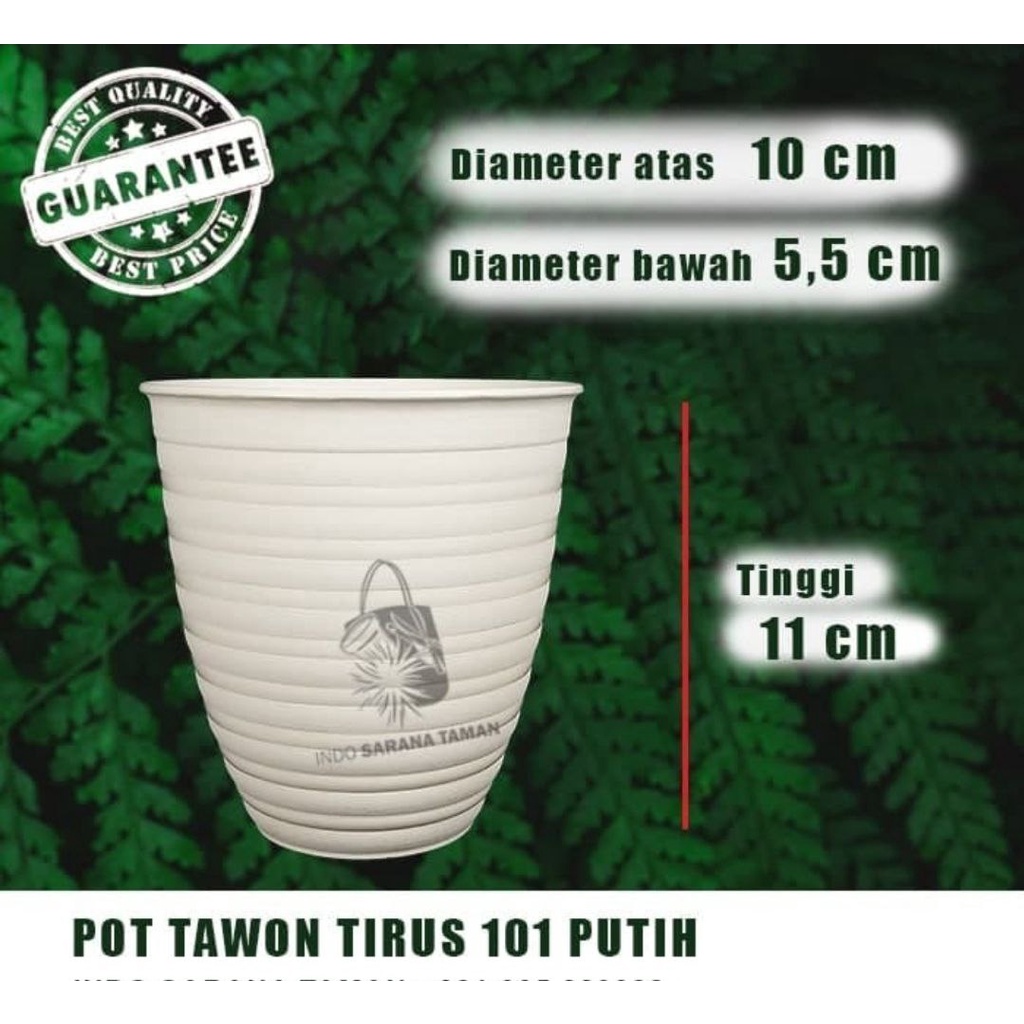 POT TAWON TIRUS 101 PUTIH Pot Tawon Tinggi Pot Tawon Pirus Pot Tinggi Pot Tawon Pot Tanaman Pot Bung
