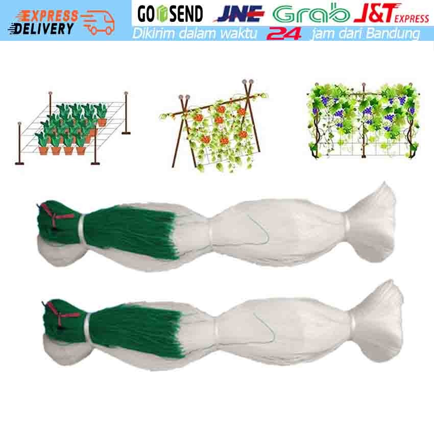 Tanaman Plant Climbing Net MURAH Jaring Rambatan Tanaman Merambat Plant Climbing Net kebun buah angg