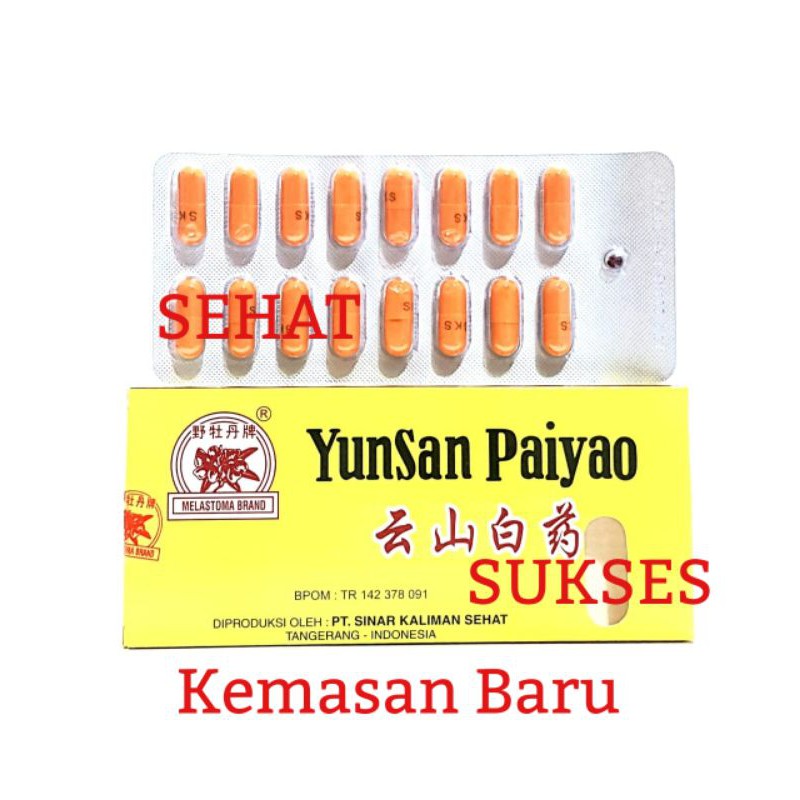 YUNNAN PAIYAO / YUNSAN PAIYAO - OBAT LUKA DALAM