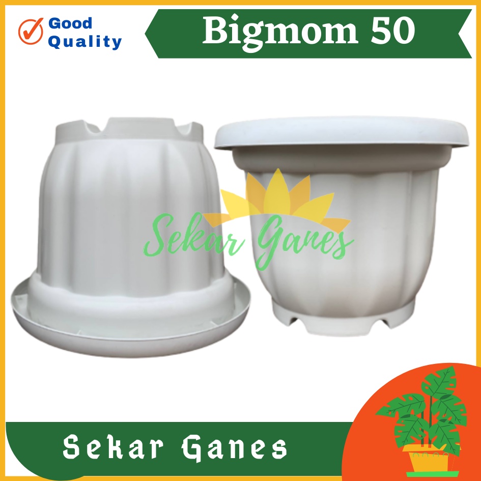 Pot Kuat 55 Putih - Pot Besar Jumbo Murah 50cm 60cm Pot Besar Plastik Bahan Tebal - Pot Bunga Jumbo Putih Murah Grosir