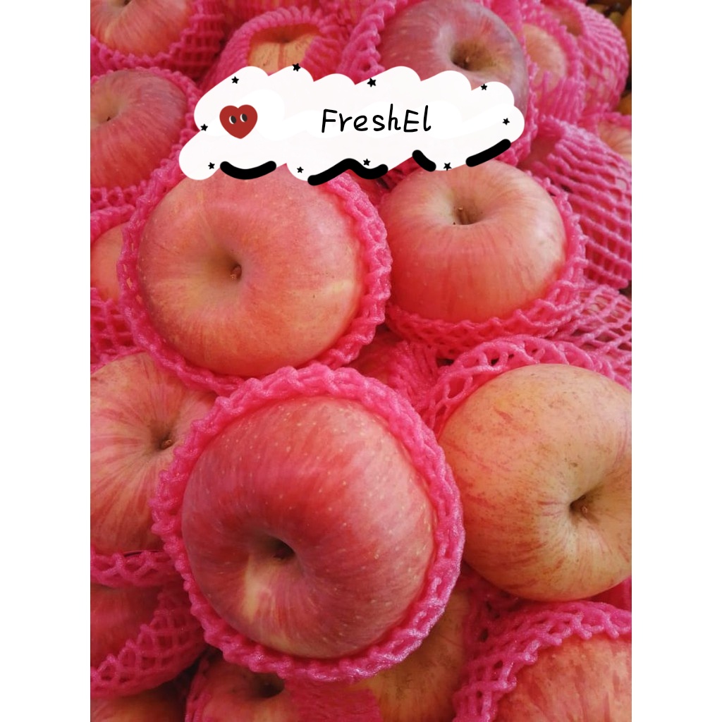 

FreshEl - BUAH APEL FUJI