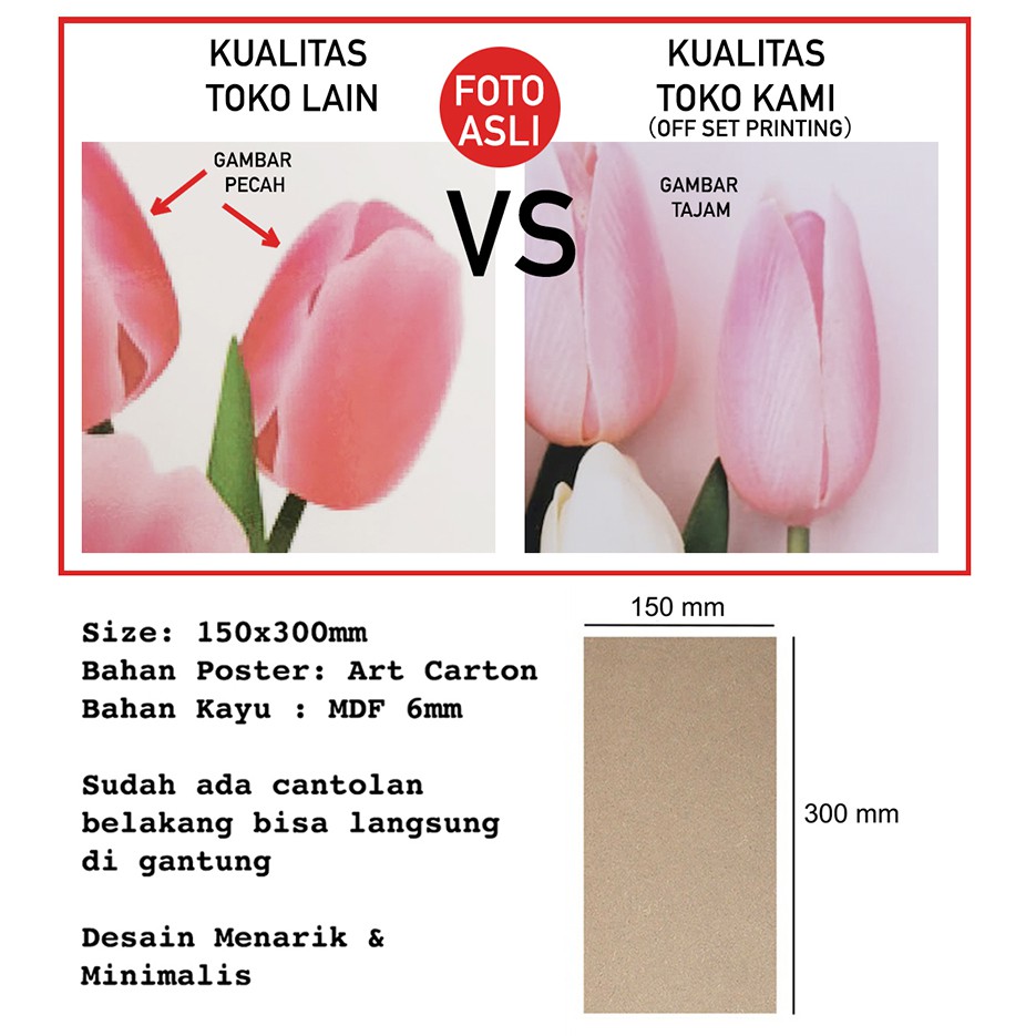 Dekorasi dinding Kamar Wall decor Tropical Monstera hiasan dinding edisi seri satuan