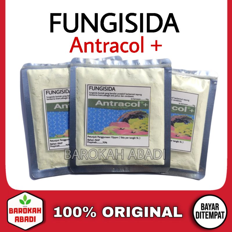 Fungisida Antracol 70WP Original - Obat Anti Jamur untuk Tanaman kemasan Repack 10 gram