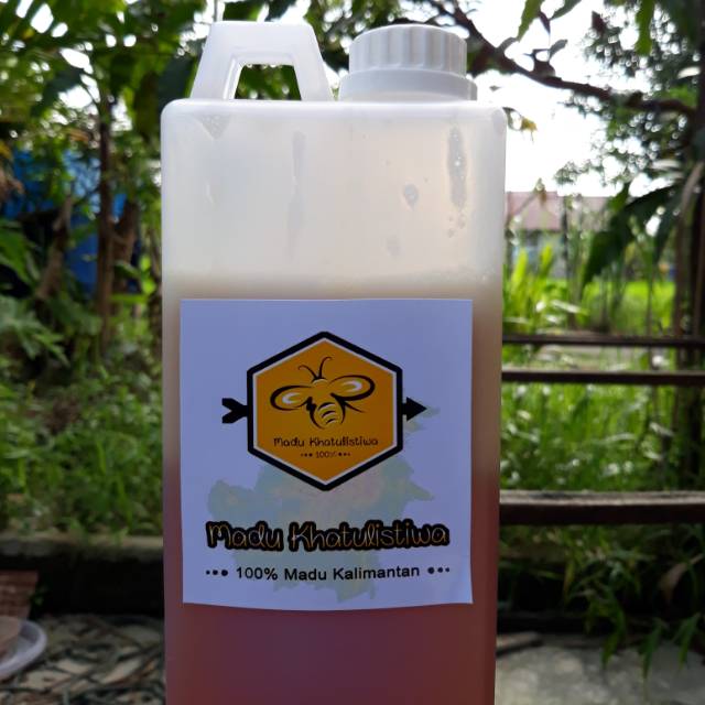 

Madu Khatulistiwa