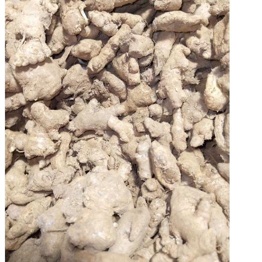 

Best - JAHE EMPRIT KECIL ✓