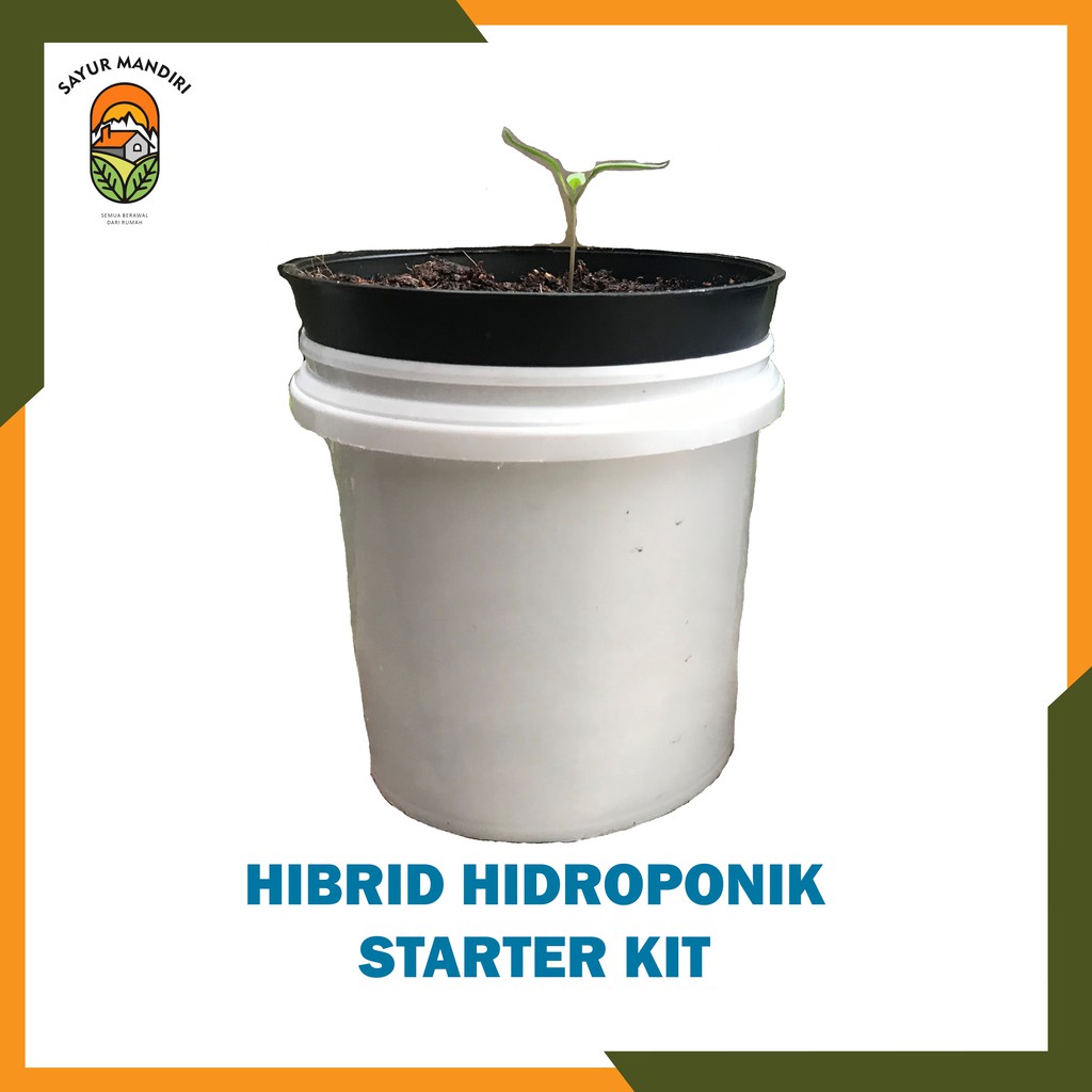 Hibrid Hidroponik Starter Kit