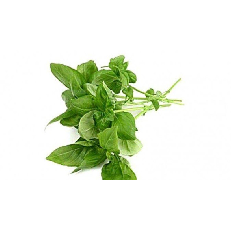 

DAUN KEMANGI FRESH 1 Ikat