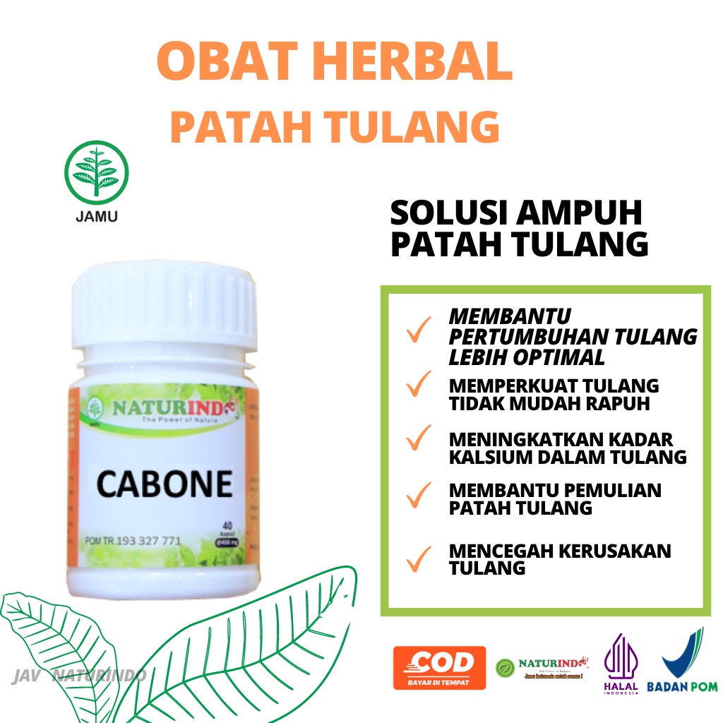 Cabone Obat Patah Tulang Dan Retak Penyambung Tulang Nutrisi Tulang Herbal Ampuh