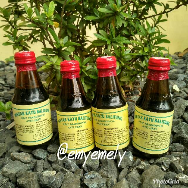 

minyak kayu belitung