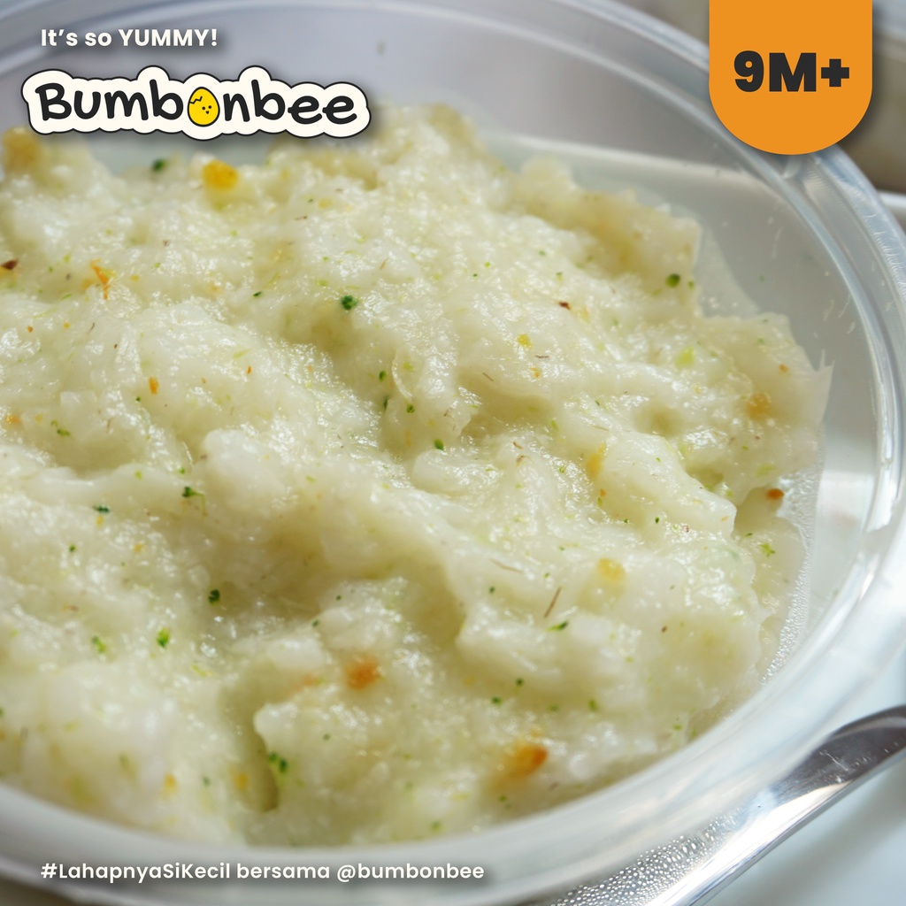 BUBUR MPASI 6-12 BULAN READY/ BUBUR MPASI HOMEMADE/MPASI MENU LENGKAP