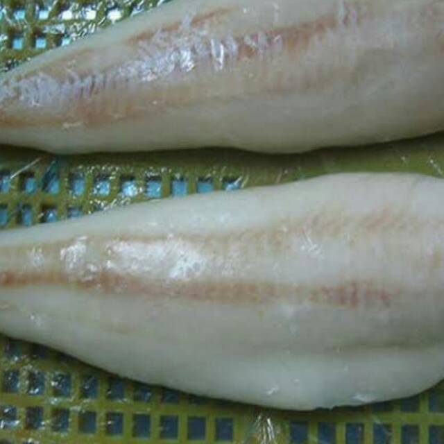 

Ikan Kod Fillet/ Ikan Gindara