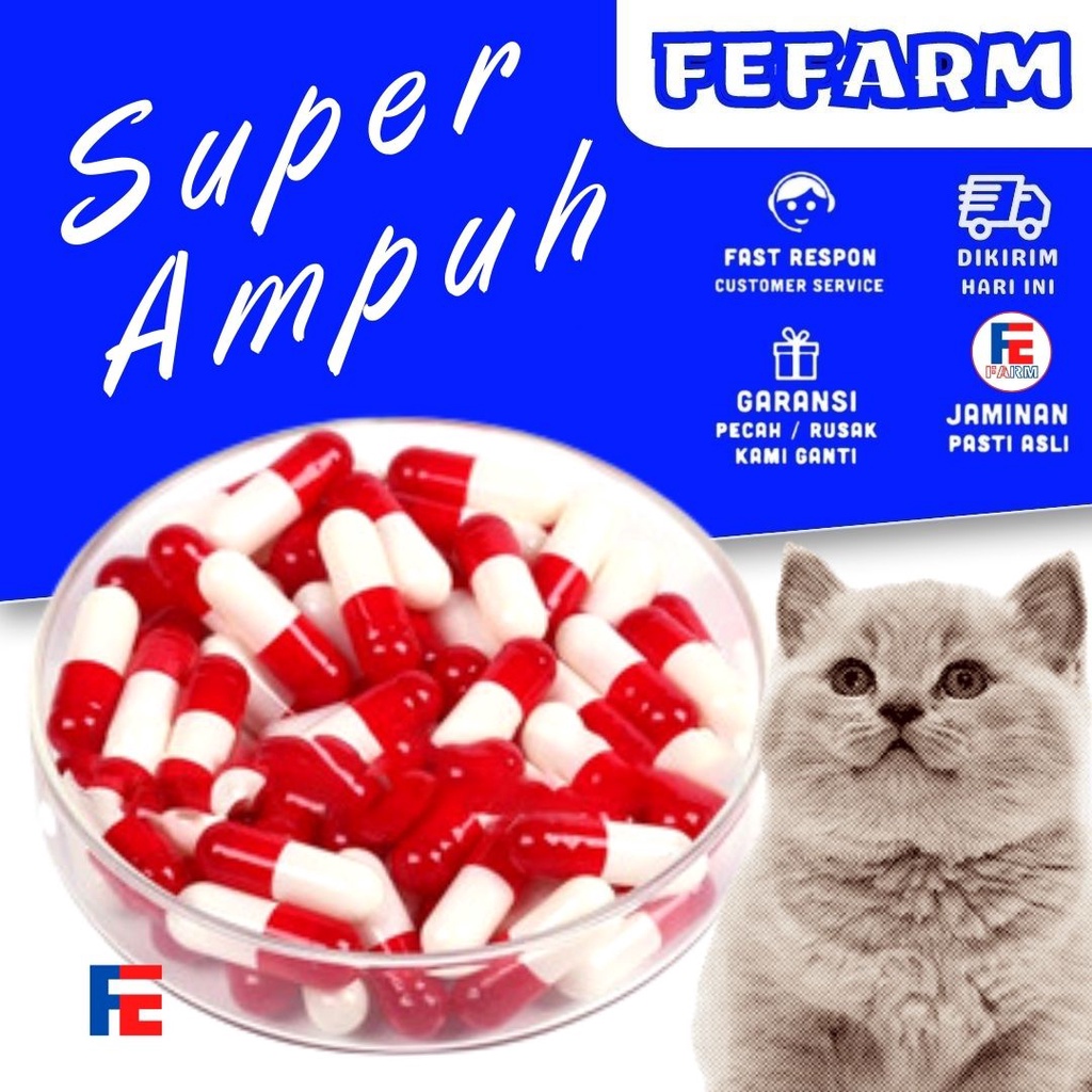 Obat Cacing kucing Jual Perbutir (10 butir 10 pcs atau 10 kapsul)